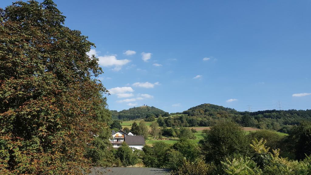 Altes Bierhaus Hotel Arzbach Buitenkant foto